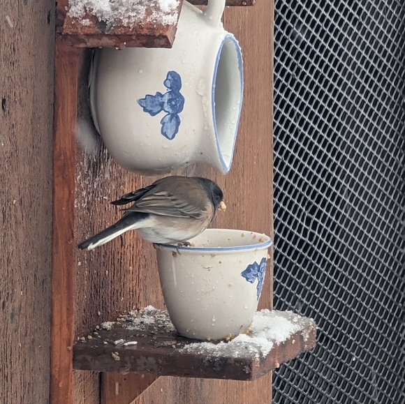 Rustic Wooden Handcrafted Bird Feeder The Door Is Always Open - Picture 14 of 16